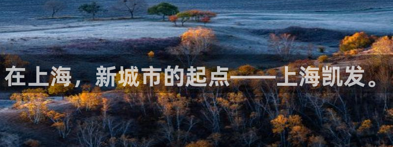 杏悦平台开户：在上海，新城市的起点——上海凯发。