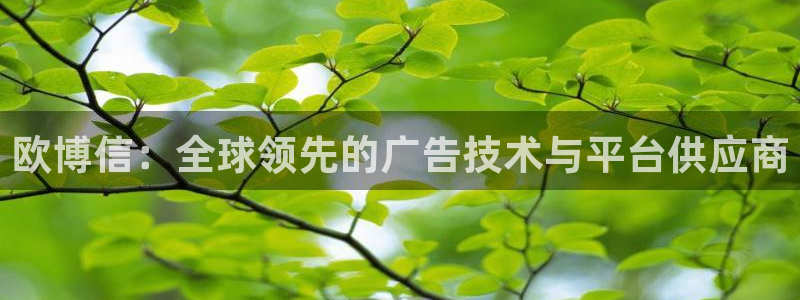 杏悦4平台注册：欧博信：全球领先的广告技术与平台供应商