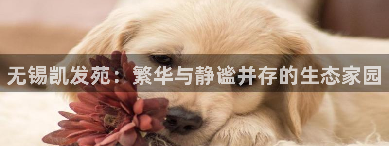 杏悦体育f开户：无锡凯发苑：繁华与静谧并存的生态家园