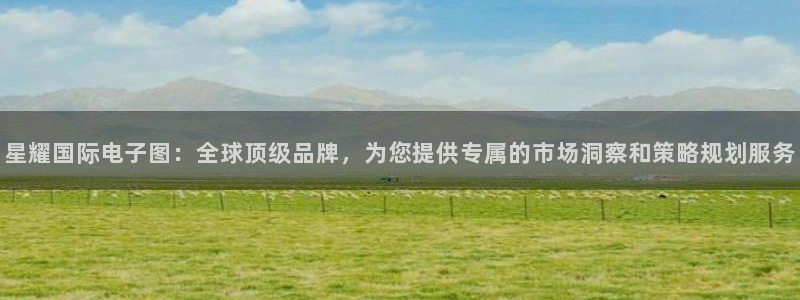 杏悦4平台注册：星耀国际电子图：全球顶级品牌，为您提供专属的市场洞察和策略规划服