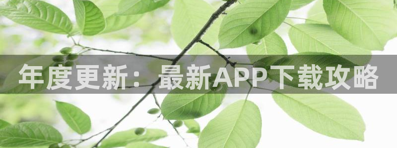 杏悦体育游戏：年度更新：最新APP下载攻略