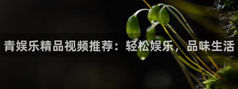 杏悦5：青娱乐精品视频推荐：轻松娱乐，品味生活