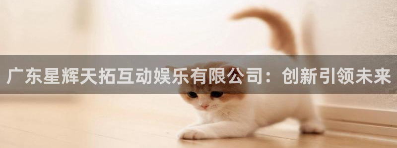 杏悦主管：广东星辉天拓互动娱乐有限公司：创新引领未来