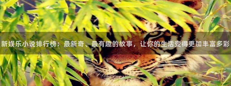 杏悦：新娱乐小说排行榜：最新奇、最有趣的故事，让你的生活变得更加丰富多彩