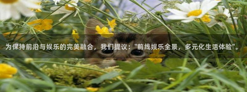 杏悦3注册：为保持前沿与娱乐的完美融合，我们提议：\