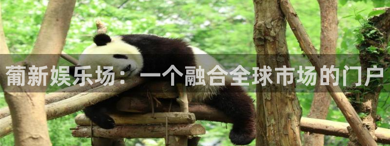 杏悦集团股票：葡新娱乐场：一个融合全球市场的门户