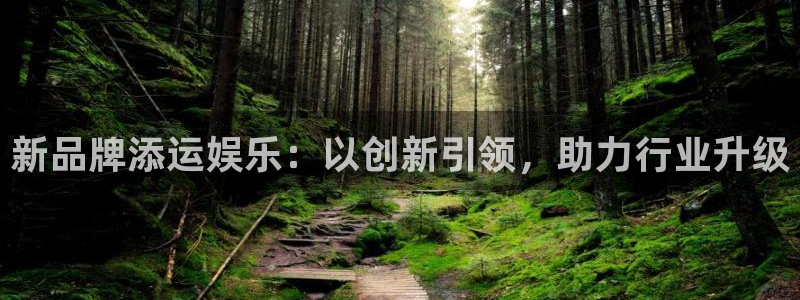 杏悦体育官网登录：新品牌添运娱乐：以创新引领，助力行业升级