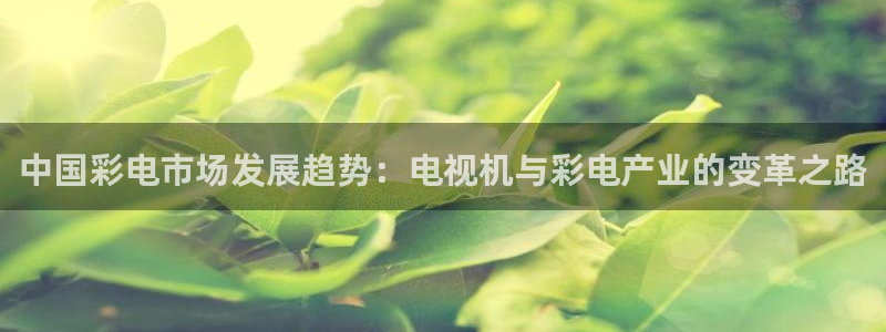 杏悦股份：中国彩电市场发展趋势：电视机与彩电产业的变革之路