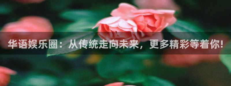 杏悦体育f开户：华语娱乐圈：从传统走向未来，更多精彩等着你!