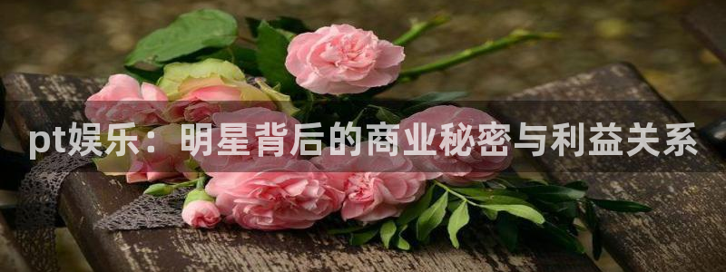杏悦：pt娱乐：明星背后的商业秘密与利益关系