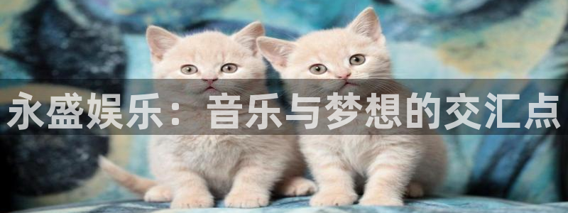 杏悦平台在线开户：永盛娱乐：音乐与梦想的交汇点