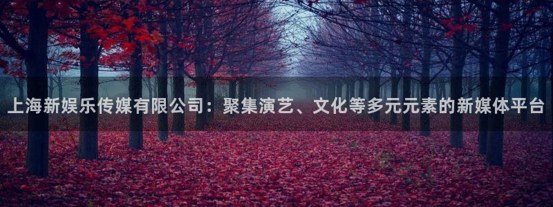 杏悦登录注册：上海新娱乐传媒有限公司：聚集演艺、文化等多元元素的新媒体平台