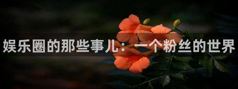 杏悦3登陆：娱乐圈的那些事儿：一个粉丝的世界