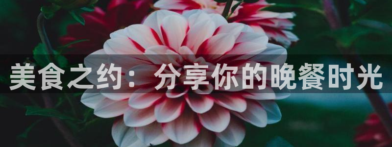 杏悦体育代理：美食之约：分享你的晚餐时光