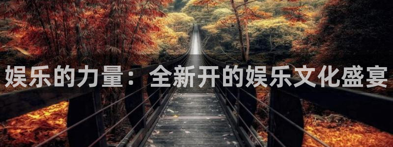 杏悦招商：娱乐的力量：全新开的娱乐文化盛宴