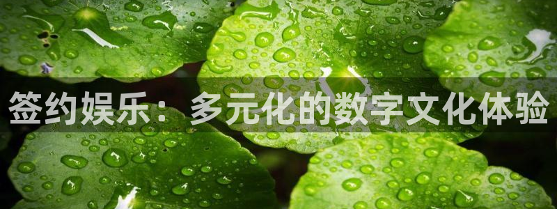 杏悦2登录地址：签约娱乐：多元化的数字文化体验