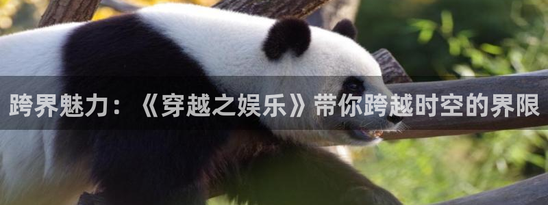 杏悦体育凯捷代理注册：跨界魅力：《穿越之娱乐》带你跨越时空的界限