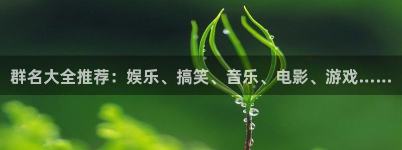 杏悦f凯捷平台在线注册：群名大全推荐：娱乐、搞笑、音乐、电影、游戏……