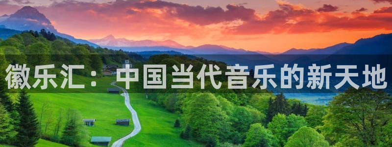 上海杏悦汽车电子有限公司：徽乐汇：中国当代音乐的新天地